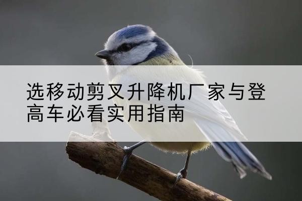宁德电动升降机厂家-选移动剪叉升降机厂家与登高车必看实用指南