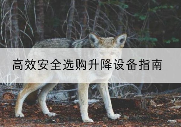 宁德升降货梯厂家推荐-*安全选购升降设备指南