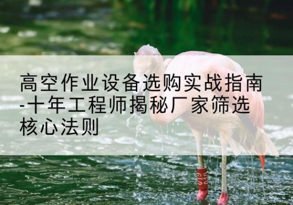 宁德剪叉式升降机厂家-高空作业设备选购实战指南-十年工程师揭秘厂家筛选核心法则